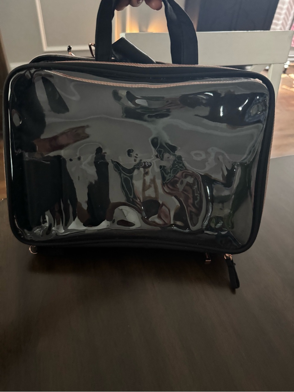 Clear Black Cosmetic Train Case with Rose Gold Zippers - Unbranded